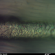 Image for article titled The World's Smallest Comic Strip Is Etched on a Single Strand of Hair